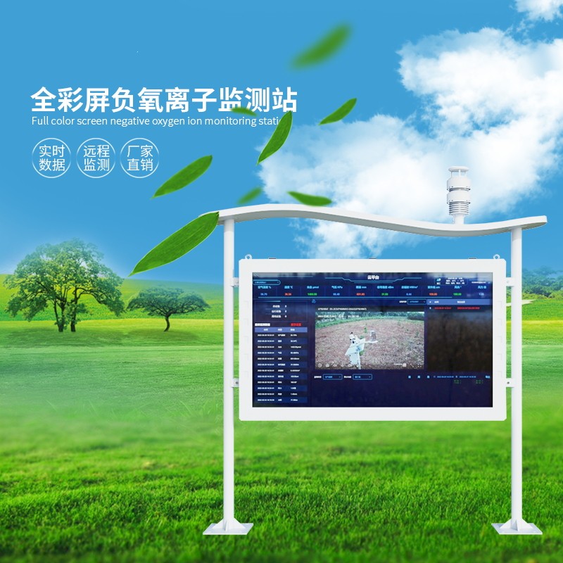 空氣監(jiān)測(cè)系統(tǒng)負(fù)氧離子廠家 空氣監(jiān)測(cè)系統(tǒng)負(fù)氧離子廠家