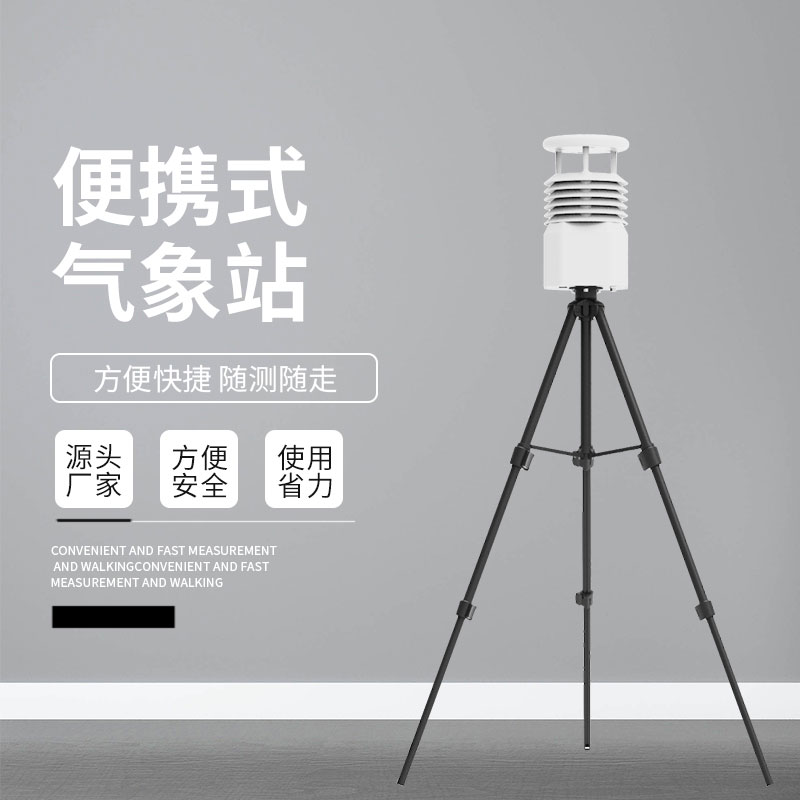 超聲波風(fēng)速風(fēng)向儀 超聲波風(fēng)速風(fēng)向儀